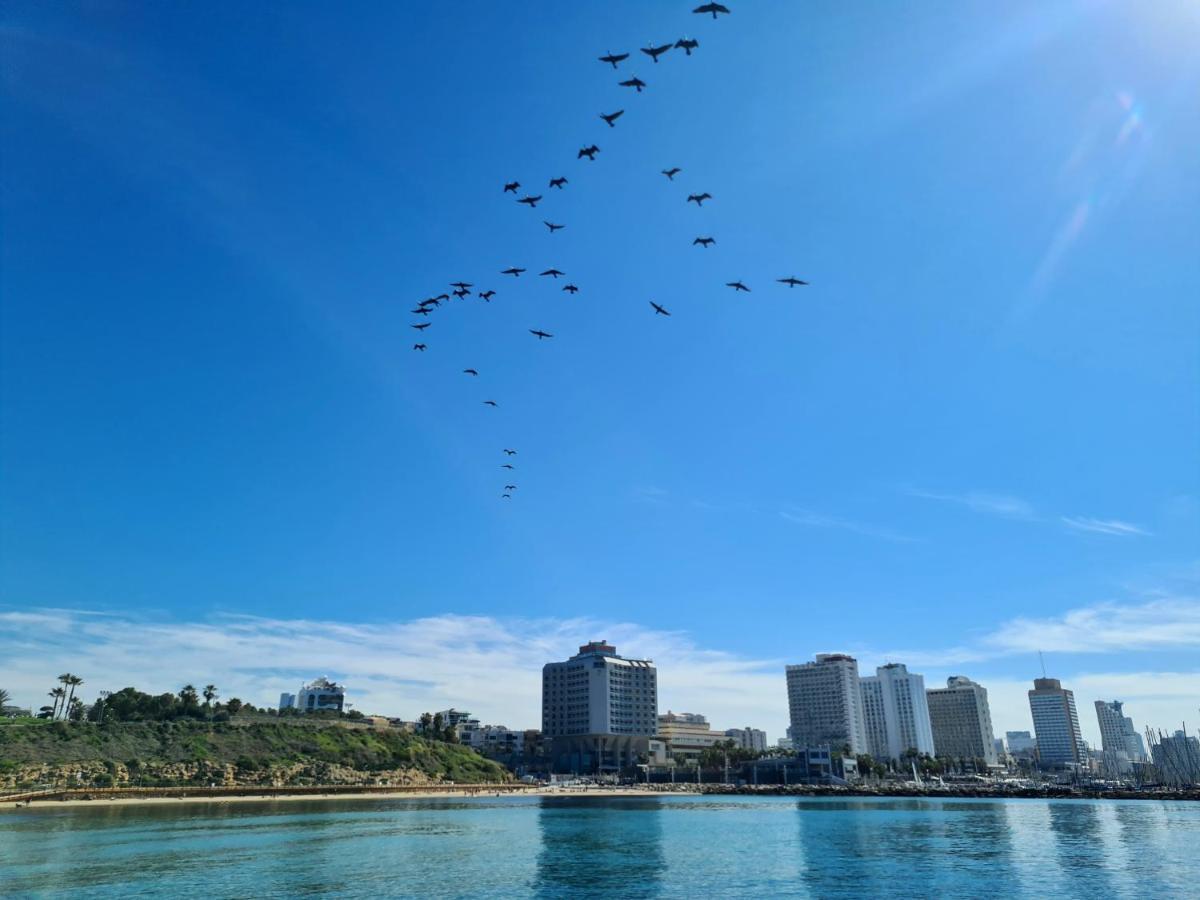 Lapin 9 - By Beach Apartments Tlv Tel Aviv Ngoại thất bức ảnh